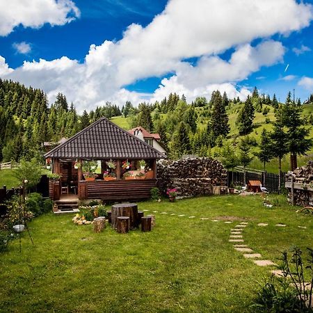 Casa Cerbul Villa Fundata Ngoại thất bức ảnh