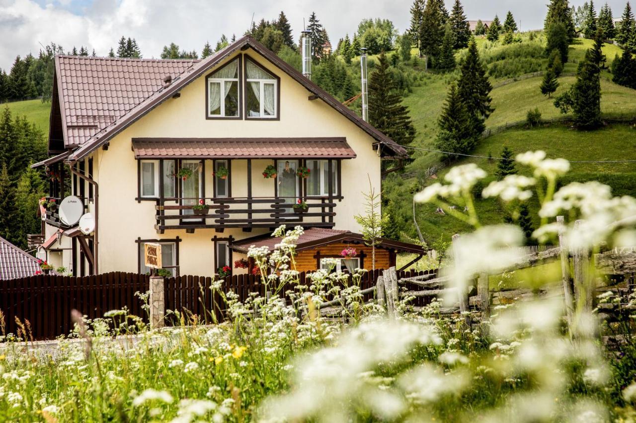Casa Cerbul Villa Fundata Ngoại thất bức ảnh
