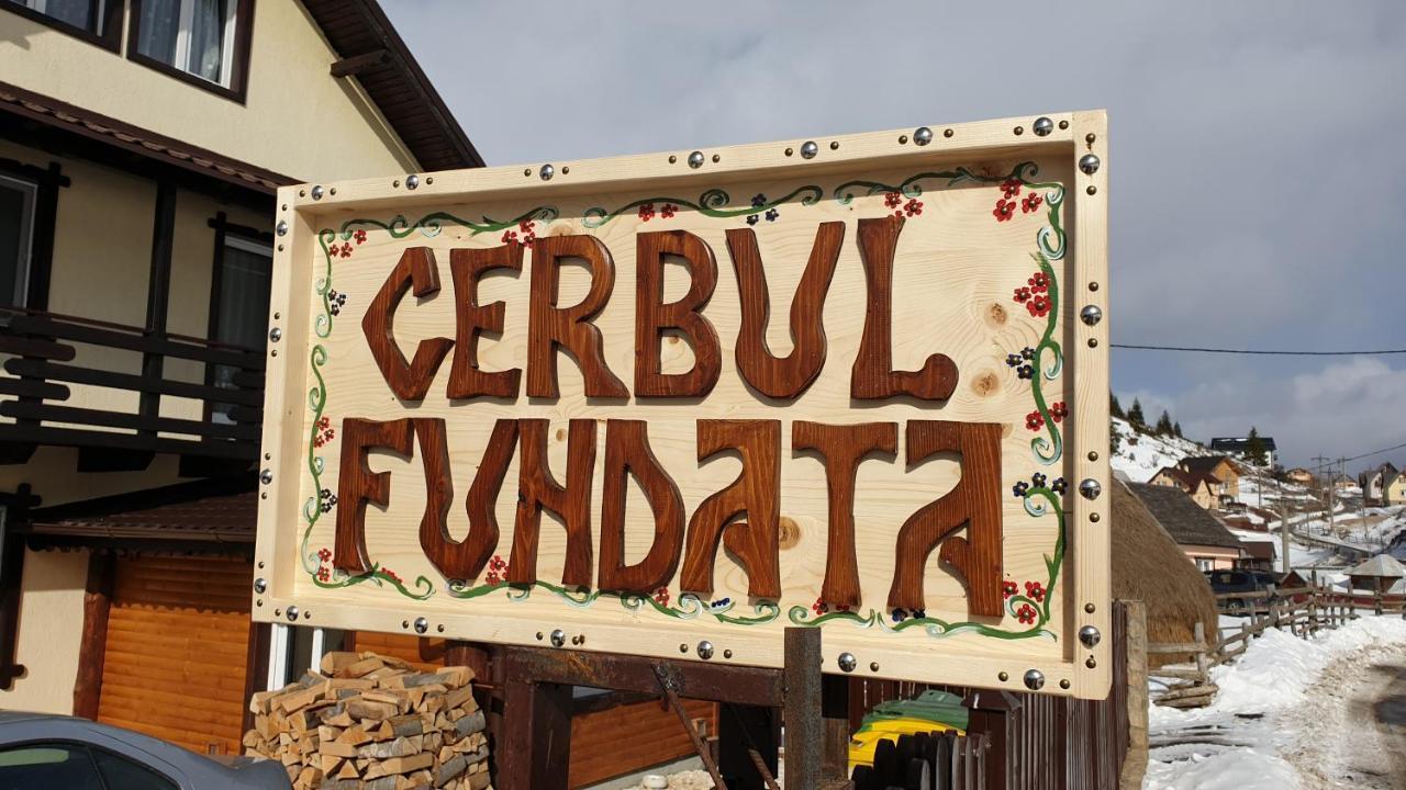 Casa Cerbul Villa Fundata Ngoại thất bức ảnh
